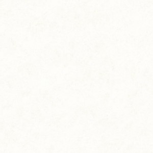 Gạch lát sàn Trường Thịnh SAND STONE TT66151